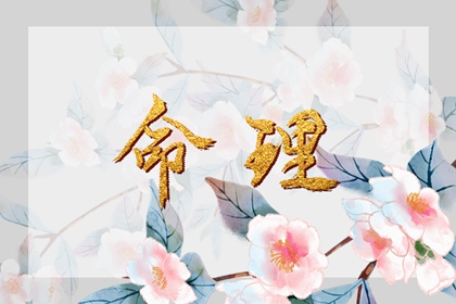 老皇历万年历,老皇历黄道吉日,老皇历